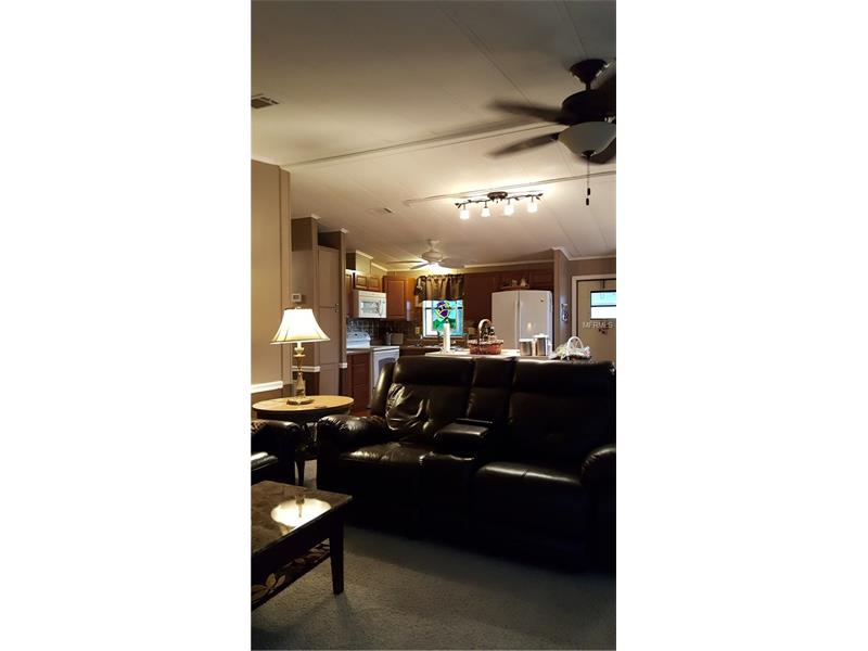 1015 KARNEY DRIVE, Lady Lake, FL 32159