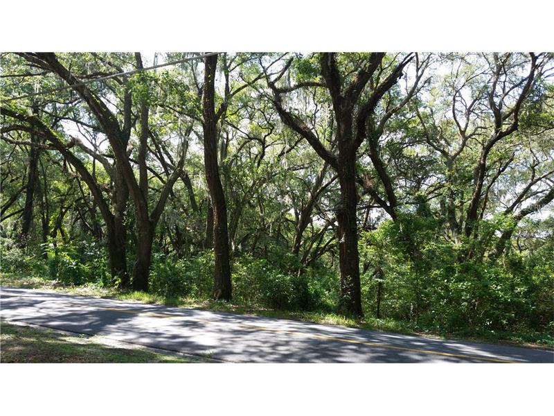 LAKE GRIFFIN ROAD, Lady Lake, FL 32159