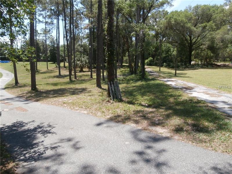 318 GRIFFIN VIEW DRIVE, Lady Lake, FL 32159
