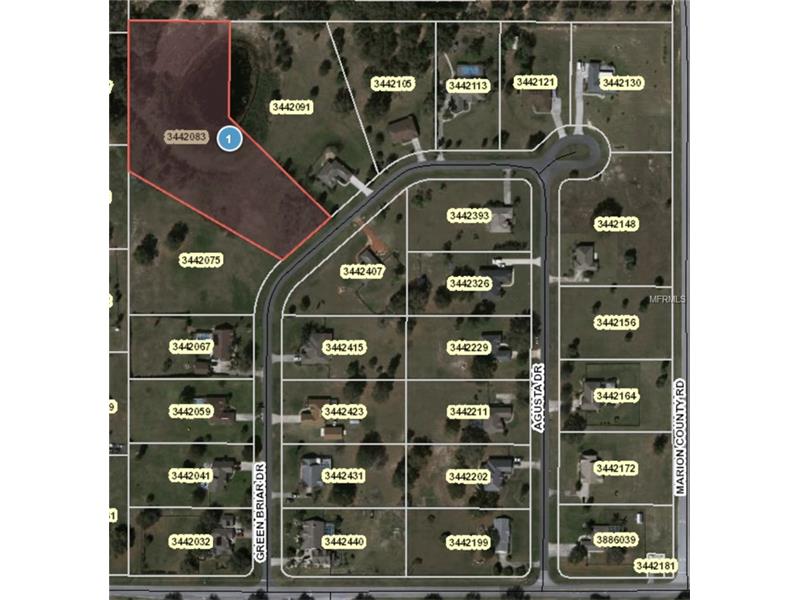 GREEN BRIAR DRIVE, Lady Lake, FL 32159