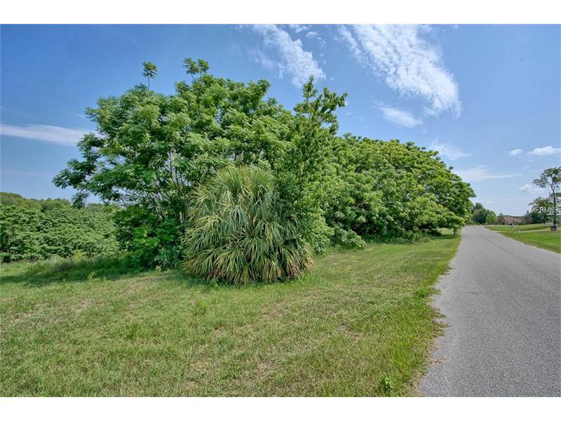 GREEN BRIAR DRIVE, Lady Lake, FL 32159