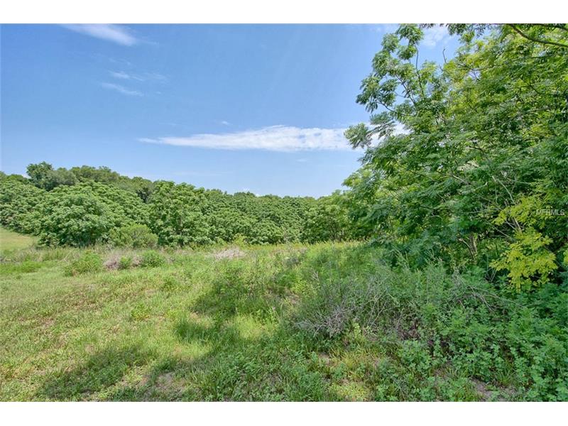 GREEN BRIAR DRIVE, Lady Lake, FL 32159