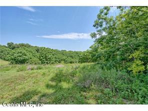 0 Green briar Dr., Lady Lake, FL 32159