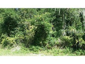 Royal Oak Road, Lady Lake, FL 32159
