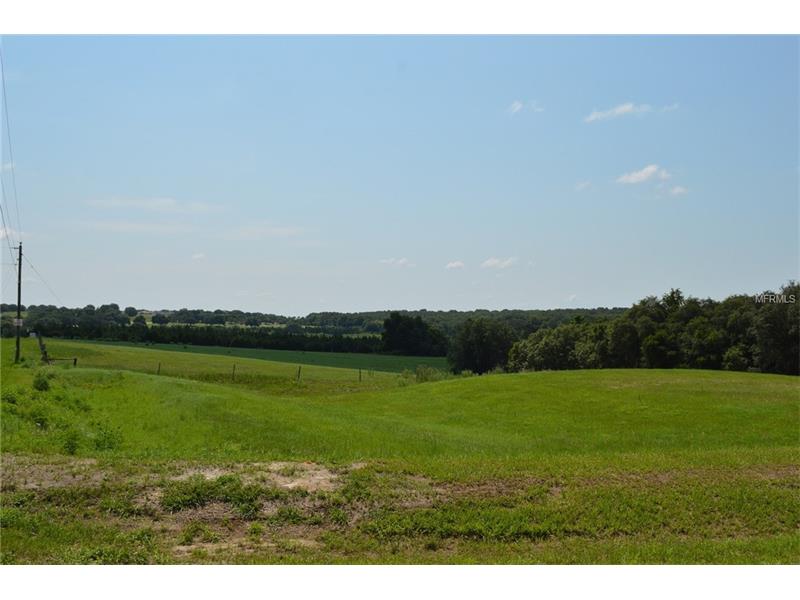 LAKE GRIFFIN ROAD, Lady Lake, FL 32159