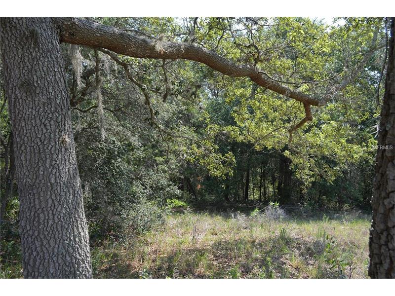 LAKE GRIFFIN ROAD, Lady Lake, FL 32159