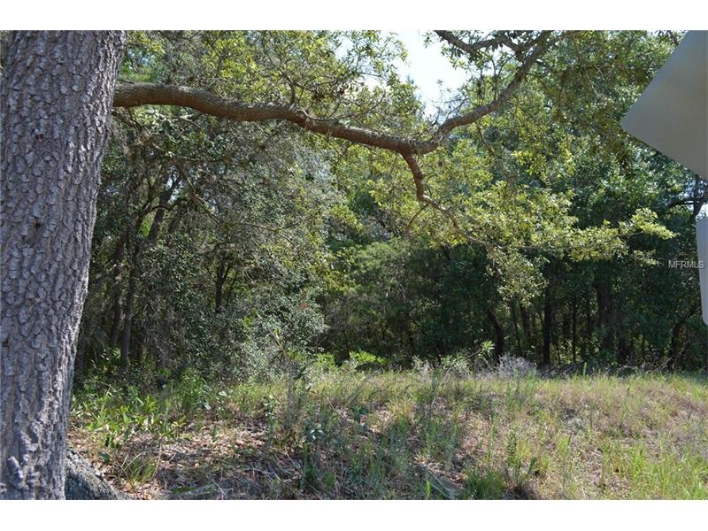 LAKE GRIFFIN ROAD, Lady Lake, FL 32159