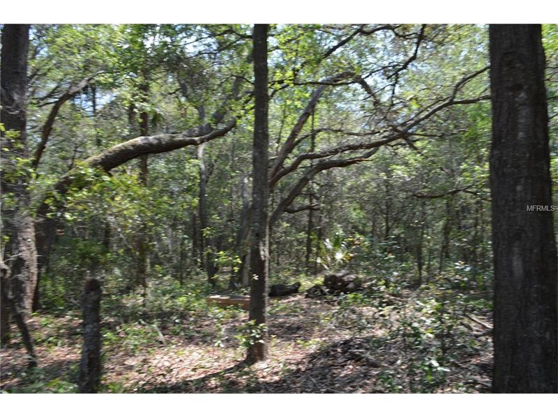 LAKE GRIFFIN ROAD, Lady Lake, FL 32159