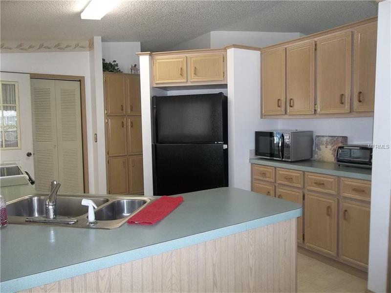 733 CORTEZ AVENUE, The Villages, FL 32159