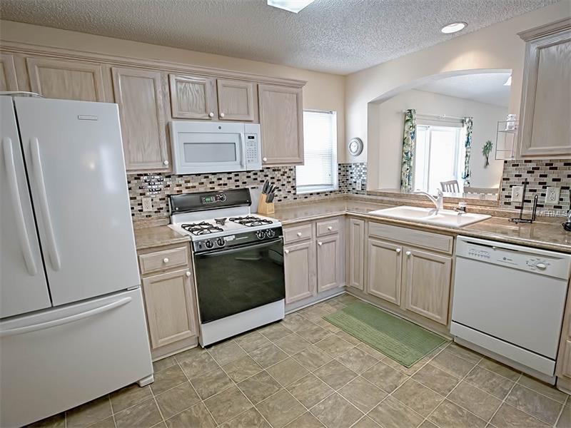 1896 DALTON DRIVE, The Villages, FL 32162