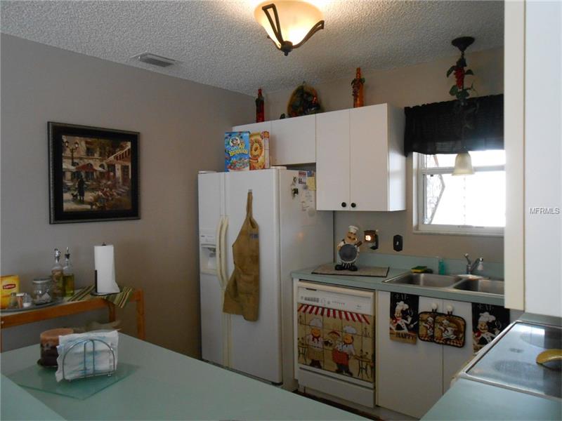 3420 ROANOKE STREET, The Villages, FL 32162