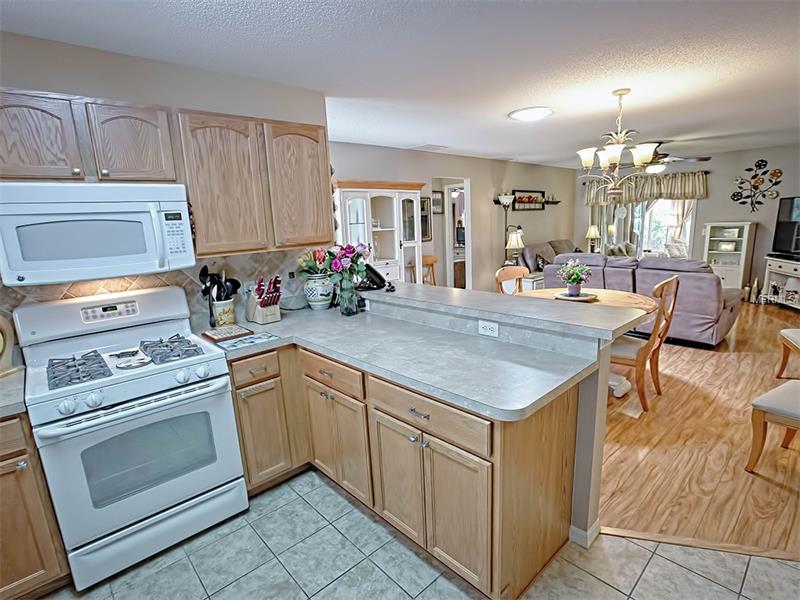 426 ALORA STREET, The Villages, FL 32162
