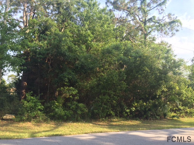 14 Praver Lane, Palm Coast, FL 32164