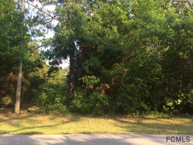 14 Praver Lane, Palm Coast, FL 32164