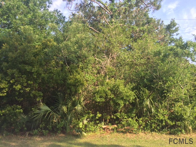 14 Praver Lane, Palm Coast, FL 32164
