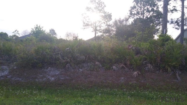 29 Roxboro Drive, Palm Coast, FL 32164
