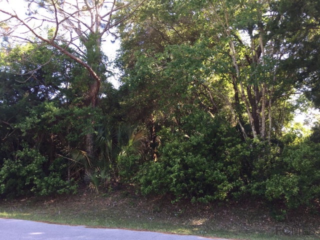 26 Philmont Lane, Palm Coast, FL 32164