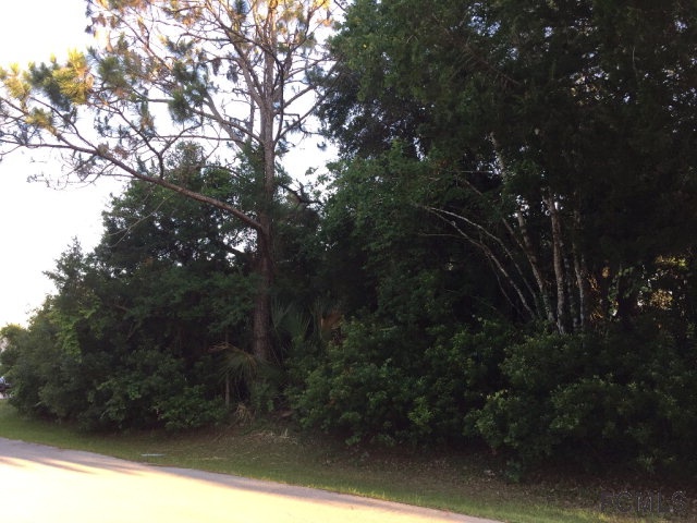 26 Philmont Lane, Palm Coast, FL 32164
