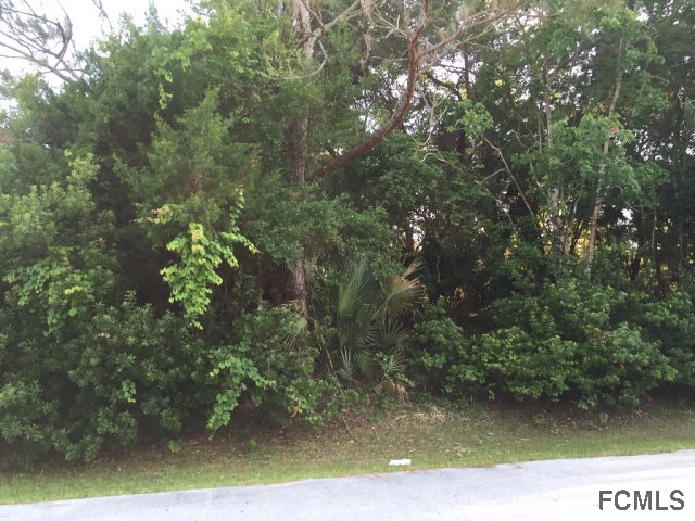 26 Philmont Lane, Palm Coast, FL 32164