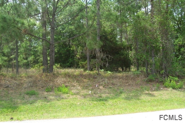 29 Karat Path, Palm Coast, FL 32164