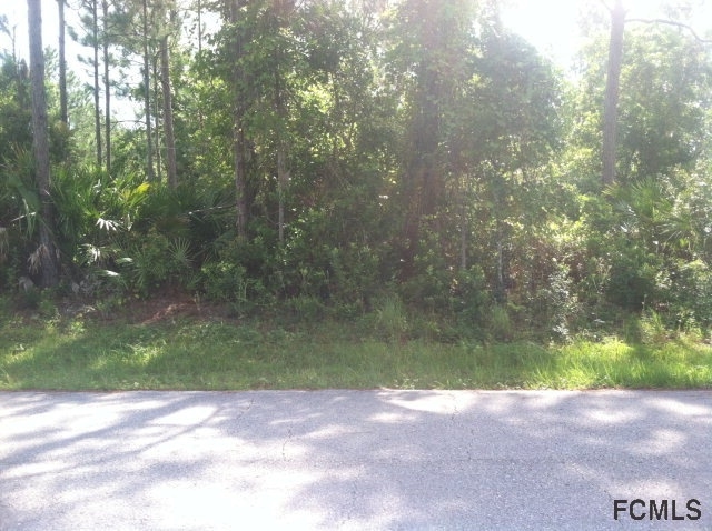 29 Karat Path, Palm Coast, FL 32164