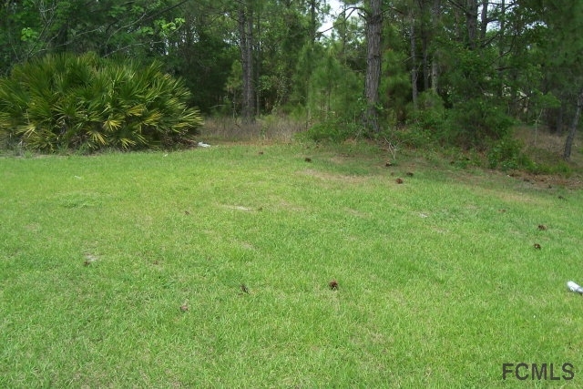 29 Karat Path, Palm Coast, FL 32164