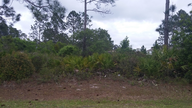 15 Roxboro Drive, Palm Coast, FL 32164