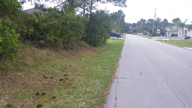 15 Roxboro Drive, Palm Coast, FL 32164
