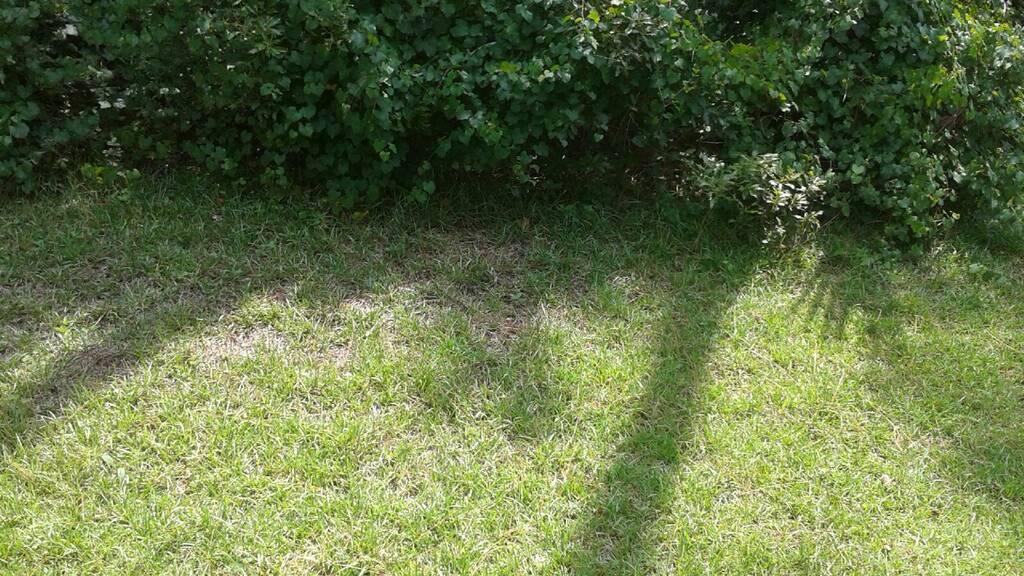 12 Poinfield Place, Palm Coast, FL 32164