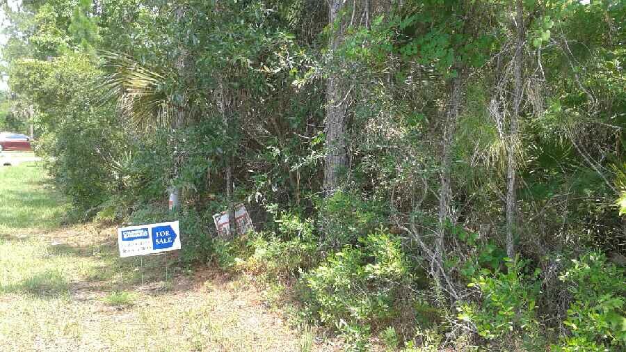 22 Pine Hurst Lane, Palm Coast, FL 32164