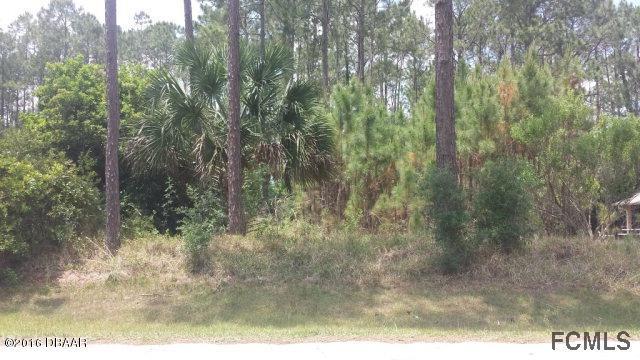 41 POINSETTIA Lane, Palm Coast, FL 32164