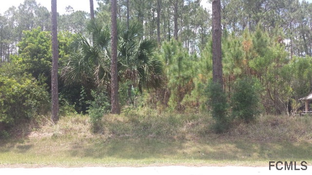 41 Poinsettia Ln, Palm Coast, FL 32164