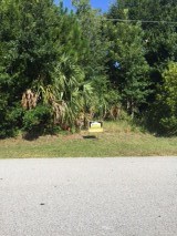 108 Pritchard Dr, Palm Coast, FL 32164