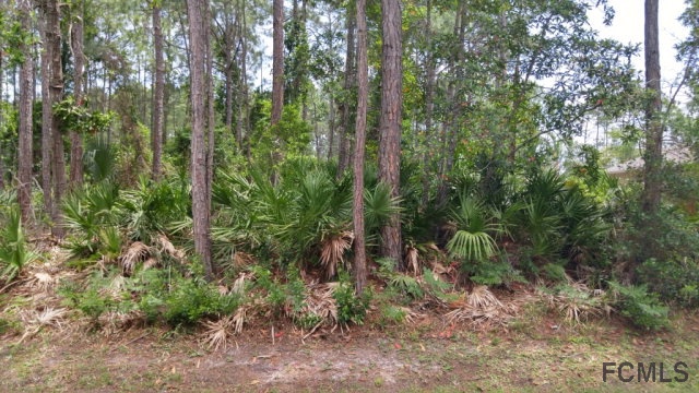 7 Red Clover Ln, Palm Coast, FL 32164