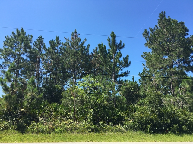 23 Sea Trail, Palm Coast, FL 32164