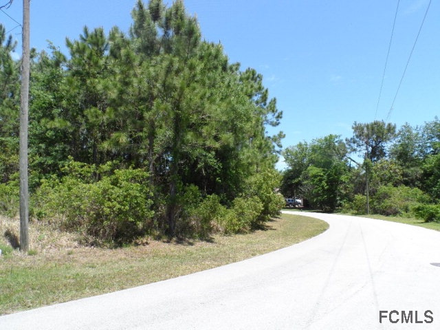 106 Persimmon Drive, Palm Coast, FL 32164