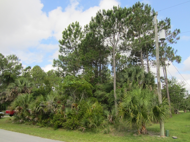 17 Pony Express Drive, Palm Coast, FL 32164