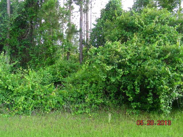 38 Palmer Lane, Palm Coast, FL 32164