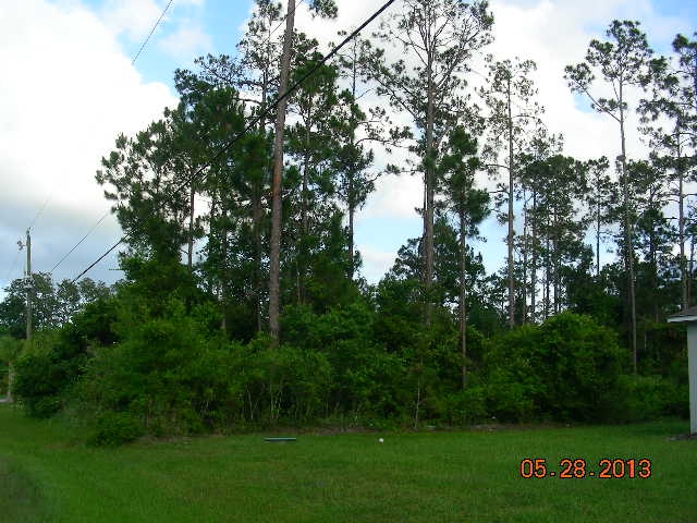 38 Palmer Lane, Palm Coast, FL 32164