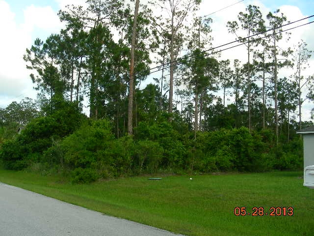 38 Palmer Lane, Palm Coast, FL 32164