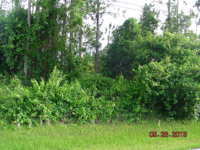 38 Palmer Lane, Palm Coast, FL 32164