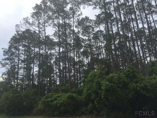 9 Eton Lane, Palm Coast, FL 32164