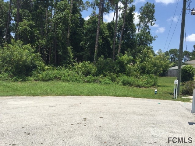 7 Penndale Place, Palm Coast, FL 32164