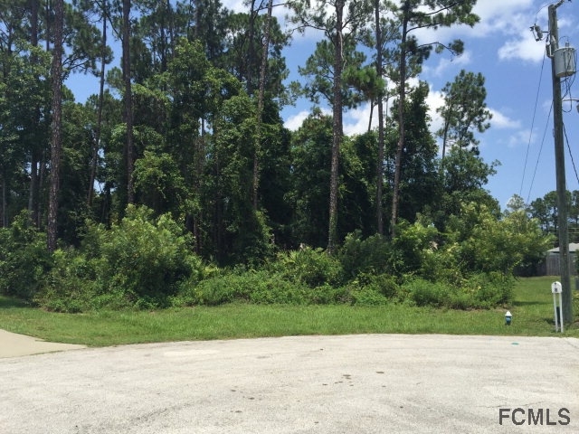 7 Penndale Place, Palm Coast, FL 32164
