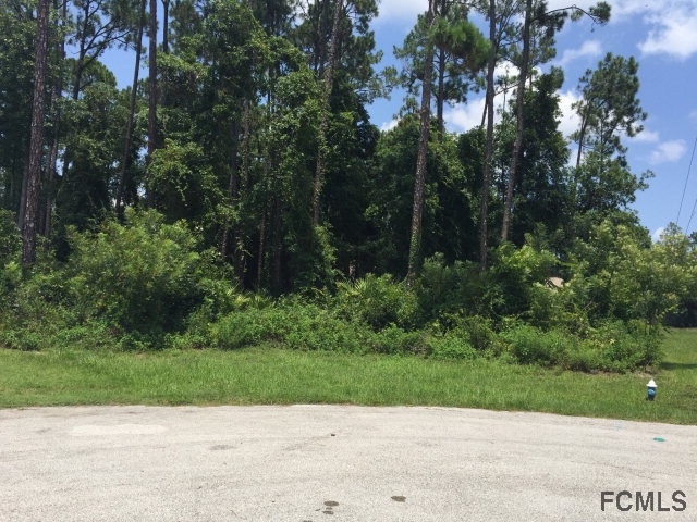 7 Penndale Place, Palm Coast, FL 32164