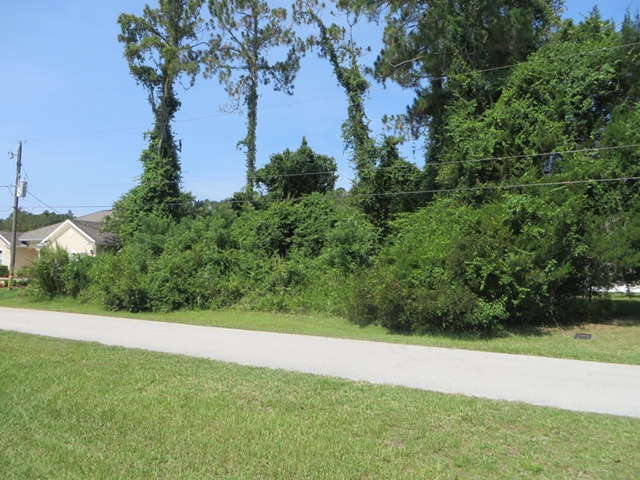 18 Ebb Tide Drive, Palm Coast, FL 32164