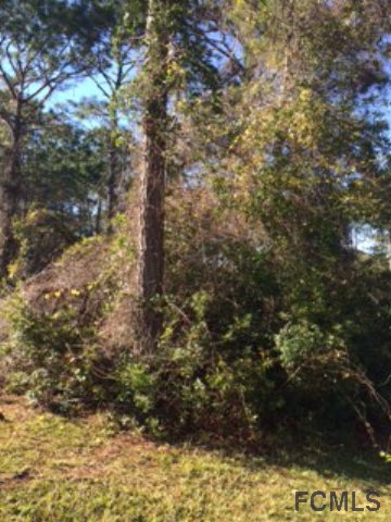 14 Evans Dr, Palm Coast, FL 32164
