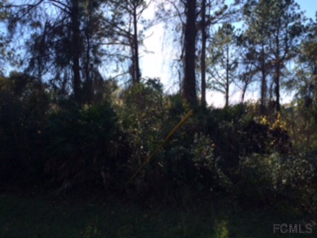 14 Evans Dr, Palm Coast, FL 32164