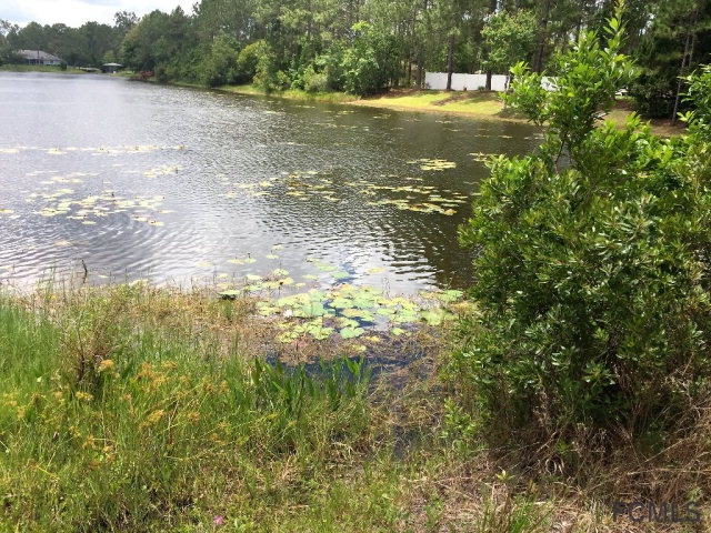 16 Kalendar Court, Palm Coast, FL 32164