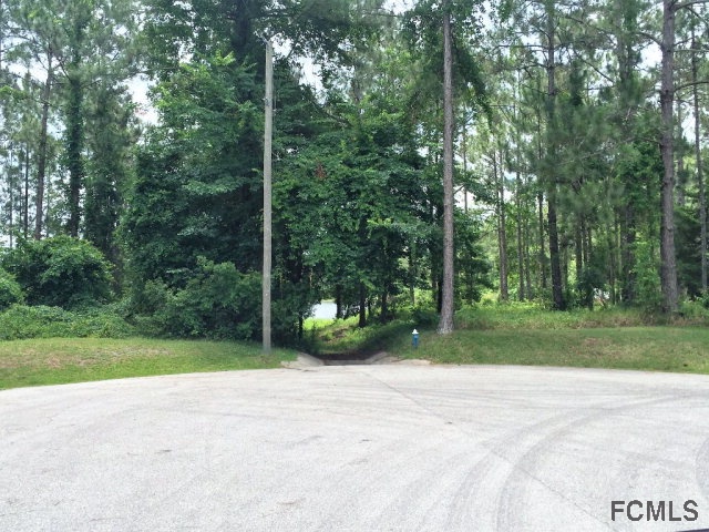 16 Kalendar Court, Palm Coast, FL 32164